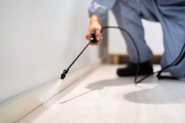 Licensed Pest Control service in Methuen Town, MA - Show Me Pest Control