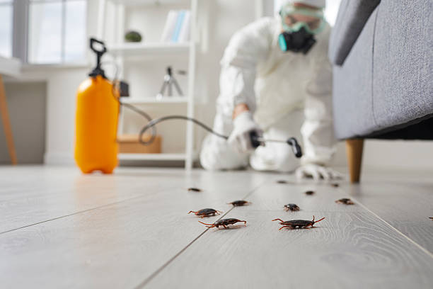 Commercial Kitchen Cockroach Control in Methuen Town